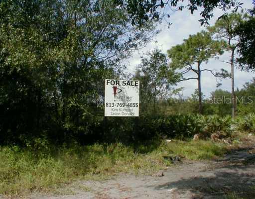 Ardenwood St., Tampa, FL 33625