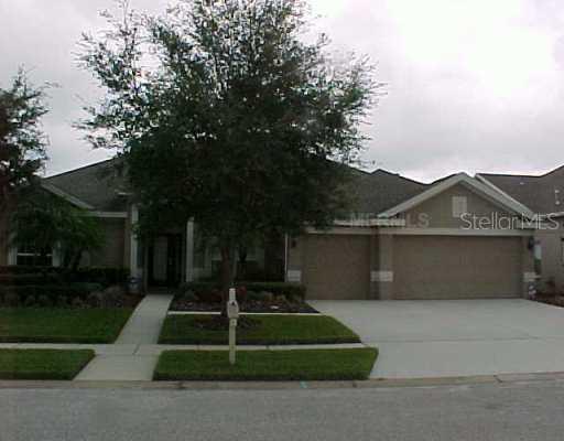 10262 Shadow Branch Dr., Tampa, FL 33647