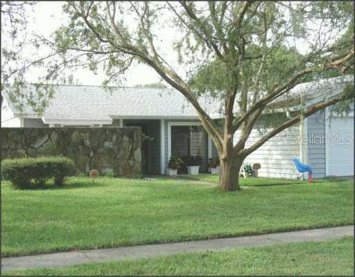 2323 Southern Lites Ave., Lutz, FL 33549