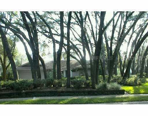 13104 Tifton Dr., Tampa, FL 33618