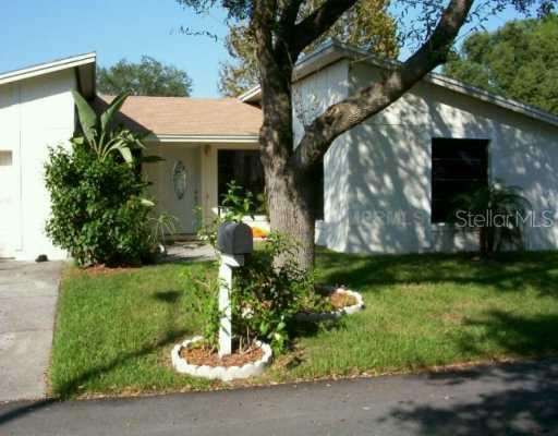 10105 Pine Trails Ct., Tampa, FL 33615