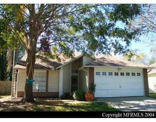 1716 Tinsmith Creek, Lutz, FL 33559