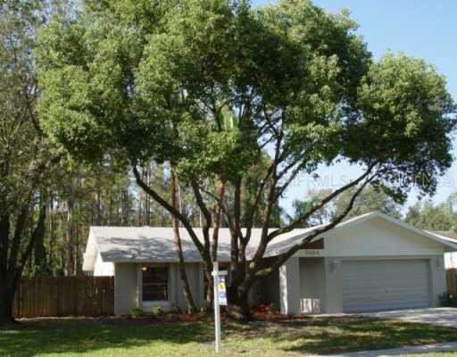5504 Carrollwood Meadows Dr., Tampa, FL 33625