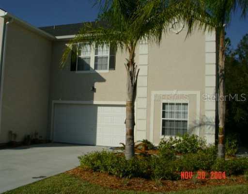 6236 Clifton Palms Dr., Tampa, FL 33647