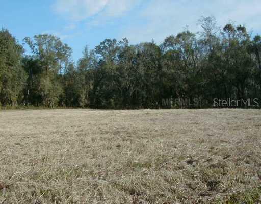 Lanson Creek Rd., Plant City, FL 33565
