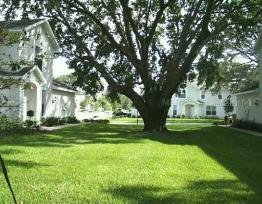 6403 Spring Oak Ct., Tampa, FL 33625