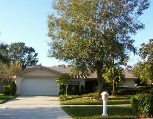 14807 Clarendon Dr., Tampa, FL 33624