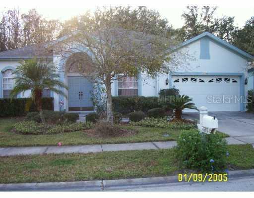 28379 Openfield Loop, Wesley Chapel, FL 33543