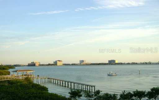 4123 Causeway Vista Dr., Tampa, FL 33615