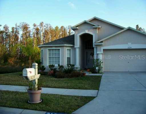 31239 Wrencrest Dr., Wesley Chapel, FL 33543