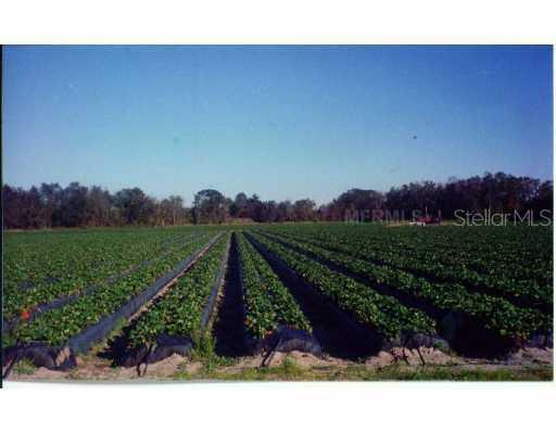 7602 S Turkey Creek Rd., Durant, FL 33530