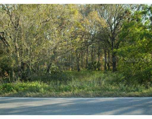 11403 Downs, Riverview, FL 33569