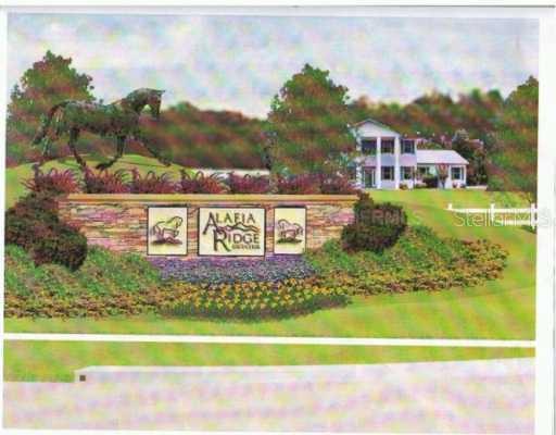 8603 Alafia Hills Rd., Lithia, FL 33547