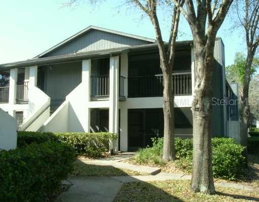 14550 Bruce B Downs Blvd. #294, Tampa, FL 33613