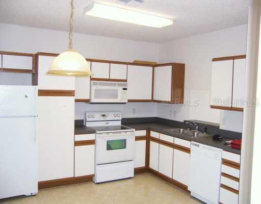 1414 Sedgwick Dr Dr., Wesley Chapel, FL 33543