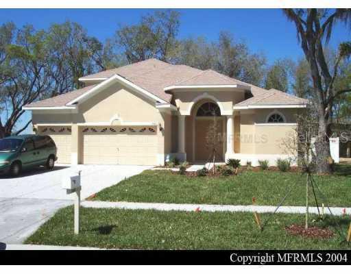 1506 Brilliant Cut Way, Valrico, FL 33594