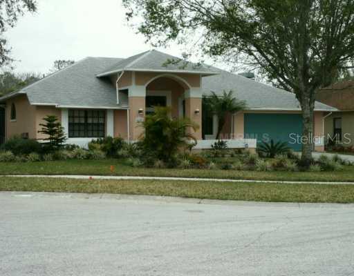 6621 Appaloosa Dr., Tampa, FL 33625