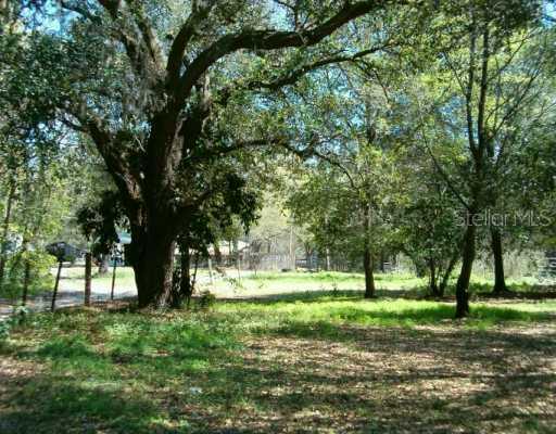 6701 Williams Rd., Seffner, FL 33584