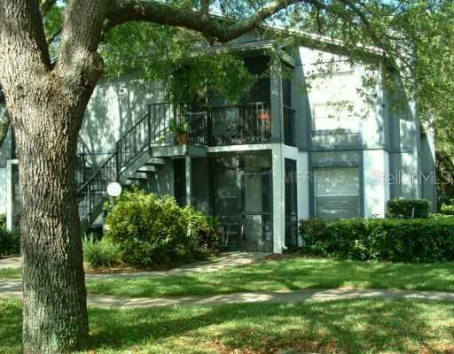 14550 Bruce B Downs Blvd. #177, Tampa, FL 33613