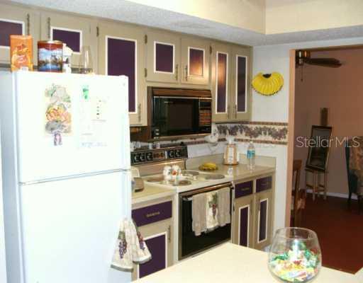 4633 Debbie Ln., Lutz, FL 33559