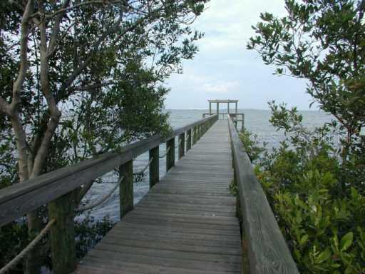 2871 Bayshore Trails Dr., Tampa, FL 33611