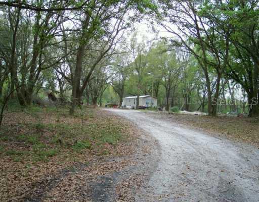 3011 Holp Tr., Lutz, FL 33559