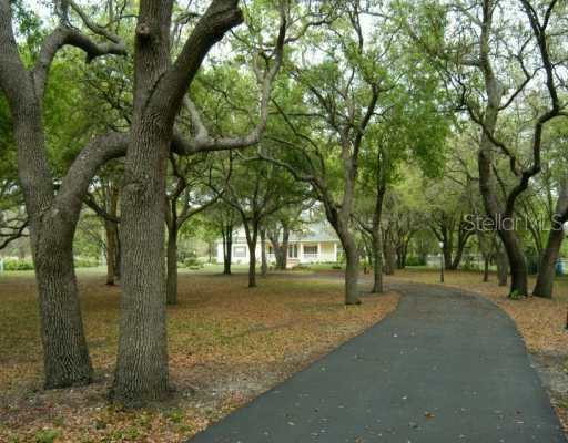 2201 Lone Palm Dr., Wimauma, FL 33598