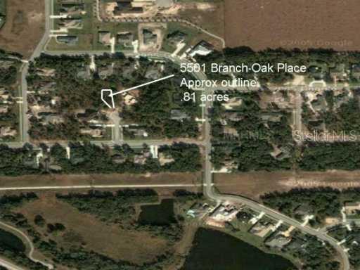 5501 Branch Oak Pl., Lithia, FL 33547