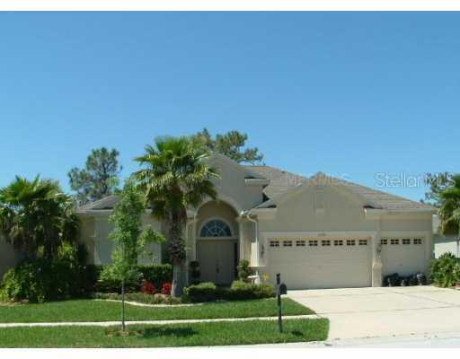 17738 Currie Ford Dr., Lutz, FL 33558