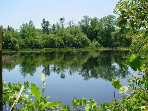 117 E Myrtle Ridge Rd., Lutz, FL 33549