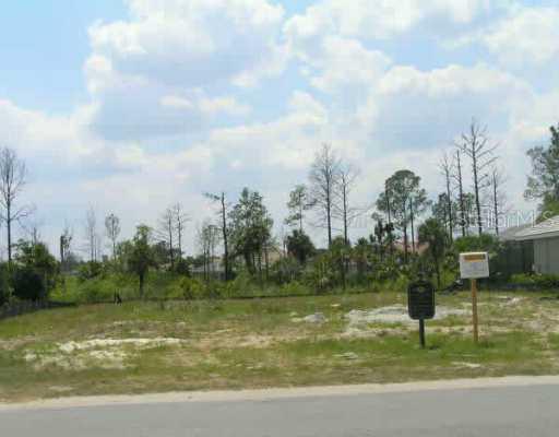 17232 Emerald Chase Dr., Tampa, FL 33647