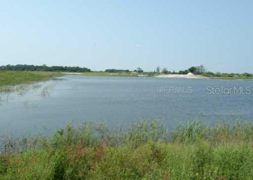 Smilodon Tr., Ruskin, FL 33570