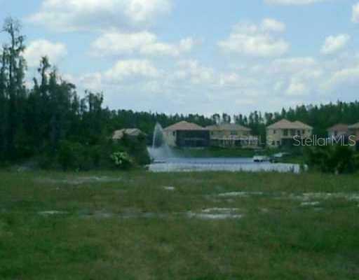 10549 Bermuda Isles Dr., Tampa, FL 33647