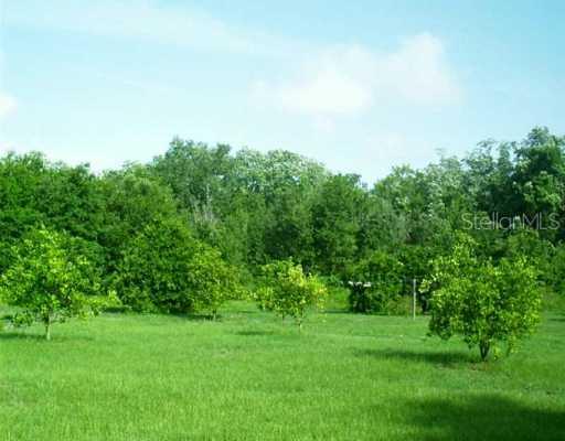 3743 Moores Lake Rd., Dover, FL 33527