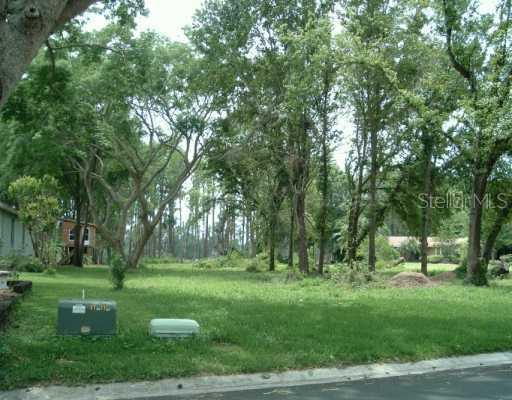 1314 Anglers Ln., Lutz, FL 33548