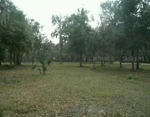 Knights Griffin Rd., Plant City, FL 33565