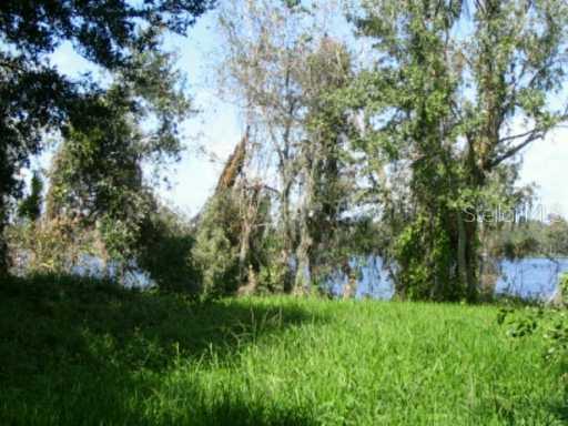Warren Rd., Lutz, FL 33548