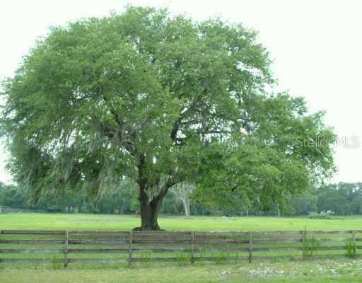 Sleepy Hollow Ln., Plant City, FL 33565