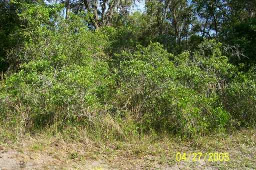 Cardy St., New Port Richey, FL 34654