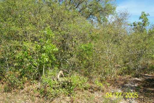 9936 Cardy St., New Port Richey, FL 34654