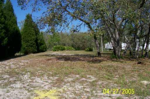 Sholtz St., New Port Richey, FL 34654