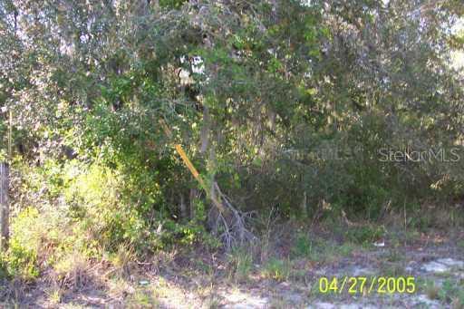 9125 Estelle St., New Port Richey, FL 34654