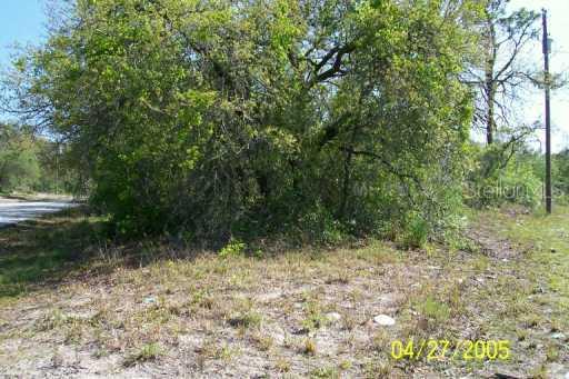 9731 Sholtz St., New Port Richey, FL 34654