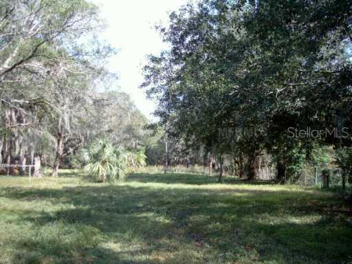 2752 Donnelly Rd., Valrico, FL 33596