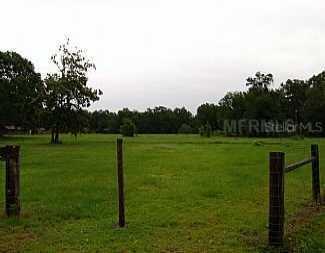 Bonnet Hole Dr., Thonotosassa, FL 33592