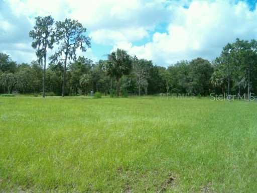 9816 Brantley Rd., Lithia, FL 33547