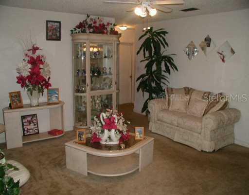 504 Hillside Ct., Brandon, FL 33510