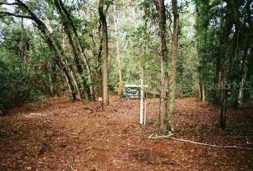 1910 S Gallagher Rd., Dover, FL 33527