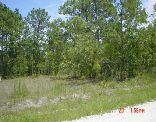 18186 Macassar Rd., Brooksville, FL 34614