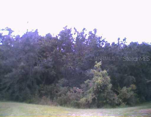 Bluegrass Ct., Fort White, FL 32038